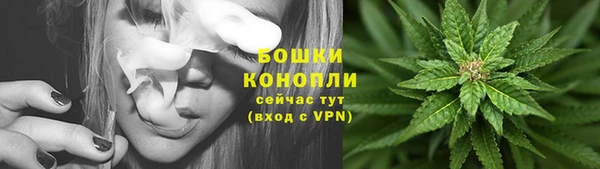 прущая мука Богородицк