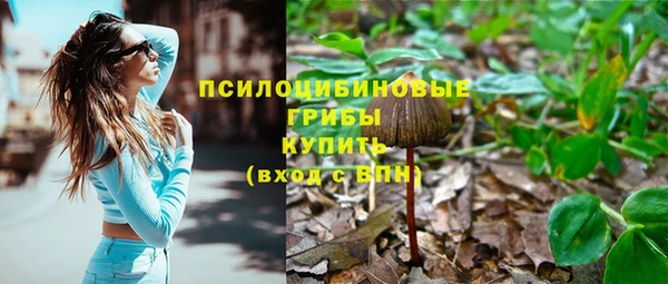 a pvp Богданович