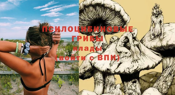 молекула духа Белоозёрский