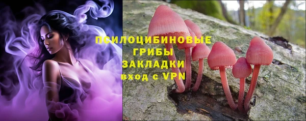 прущая мука Богородицк