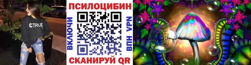 KRAKEN вход  Баксан  Галлюциногенные грибы Psilocybe 